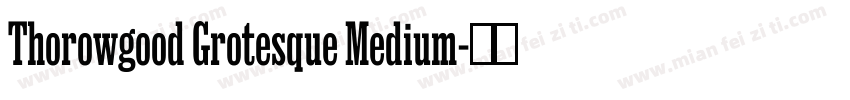 Thorowgood Grotesque Medium字体转换